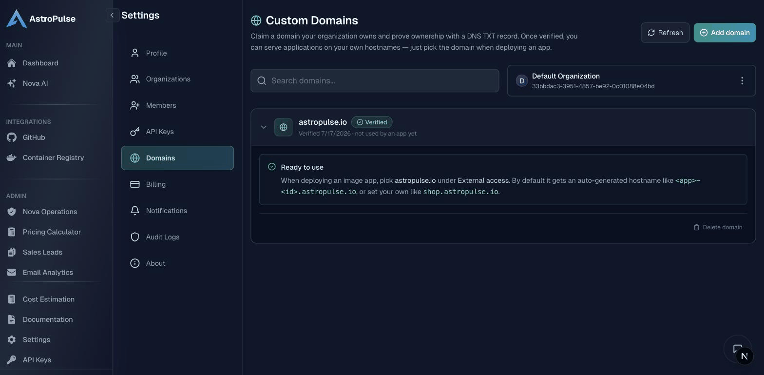 Adding a domain, publishing the TXT record, and watching it verify